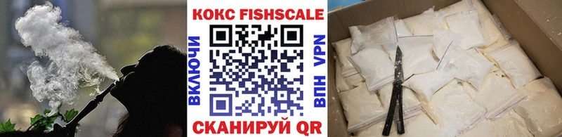 даркнет сайт Кудымкар COCAIN Fish Scale