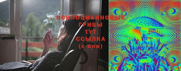 прущие грибы Алексин