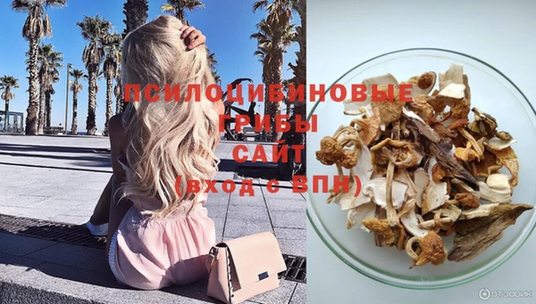 прущие грибы Алексин