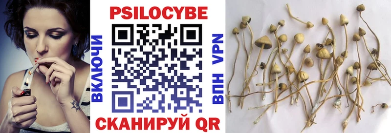 Галлюциногенные грибы Cubensis  Кудымкар 