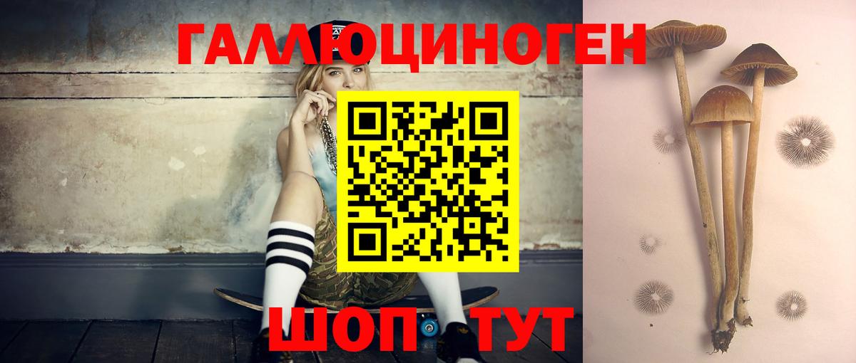 Галлюциногенные грибы мицелий  Псилоцибиновые грибы GOLDEN TEACHER  Вход с VPN  Кудымкар 