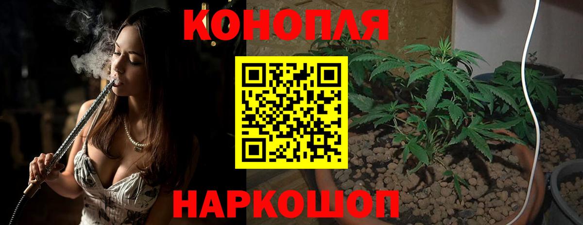 Шишки марихуана план Кудымкар